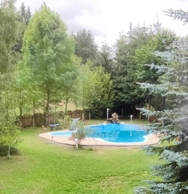 Cabanita Villa Întorsura Buzăului Екстериор снимка