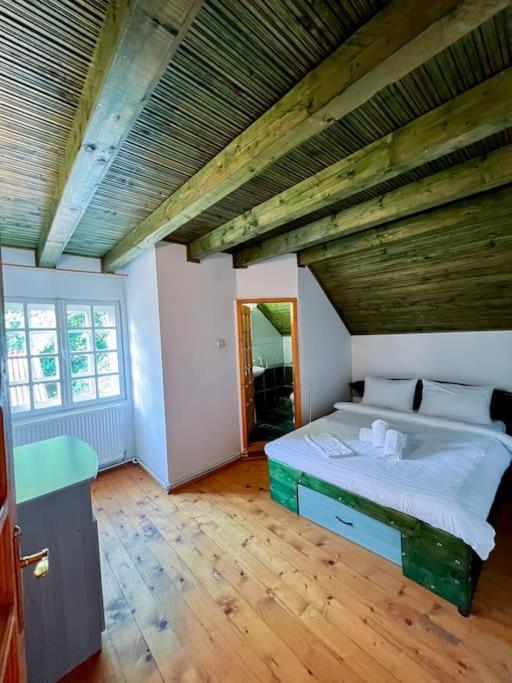 Cabanita Villa Întorsura Buzăului Екстериор снимка
